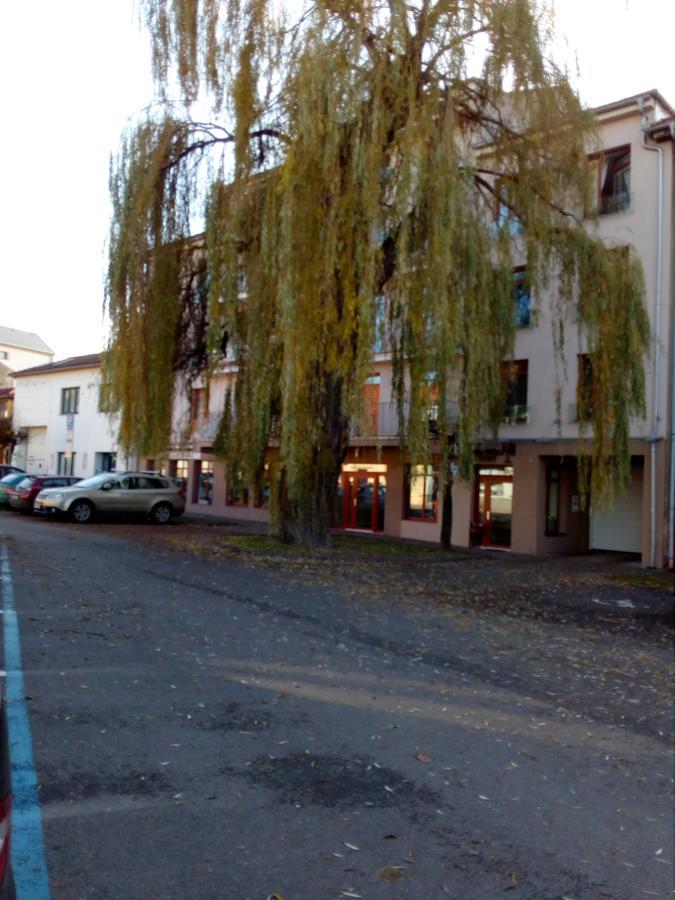Husova * 波杰布拉迪